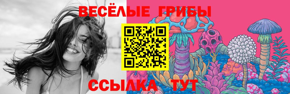 Мирный  Псилоцибиновые грибы Psilocybine cubensis  Вход с VPN  Галлюциногенные грибы ЛСД 